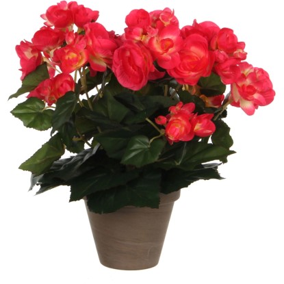 Művirág begónia sötét rózsaszín cserépátmérő 11,5 cm 30 cm x 25 cm Művirág begónia sötét rózsaszín cserépátmérő 11,5 cm 30 cm x 25 cm