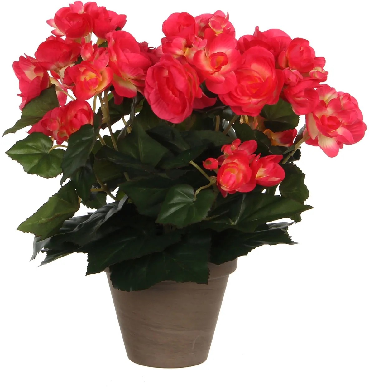 Művirág begónia sötét rózsaszín cserépátmérő 11,5 cm 30 cm x 25 cm Művirág begónia sötét rózsaszín cserépátmérő 11,5 cm 30 cm x 25 cm