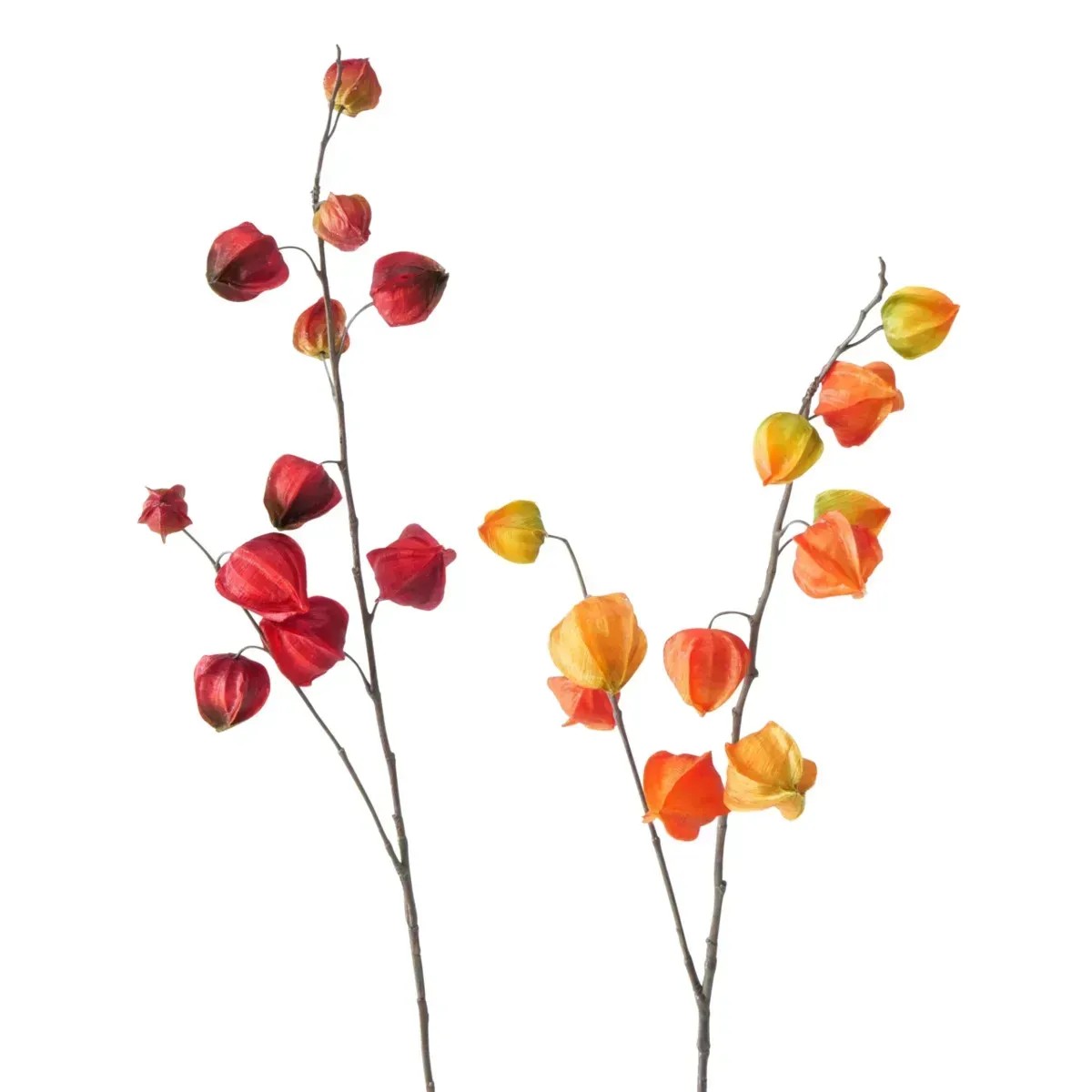 Boltze Home földicseresznye dekor ág 2-féle változatban többszínű Boltze Home földicseresznye dekor ág 2-féle változatban többszínű