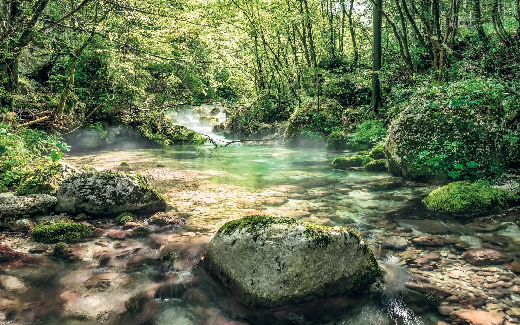 Komar vlies fotótapéta Tranquil Pool 400 cm x 250 cm Komar vlies fotótapéta Tranquil Pool 400 cm x 250 cm