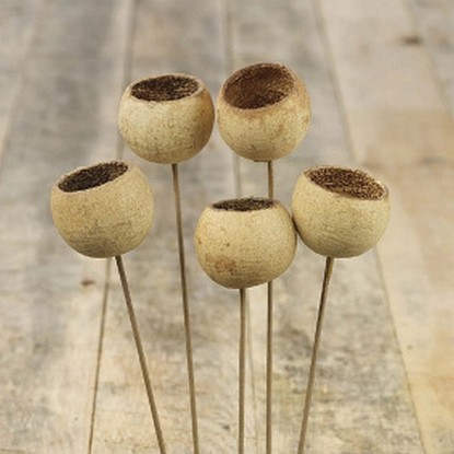 Száras Bell Cup dekor növény Natúr Száras Bell Cup dekor növény Natúr