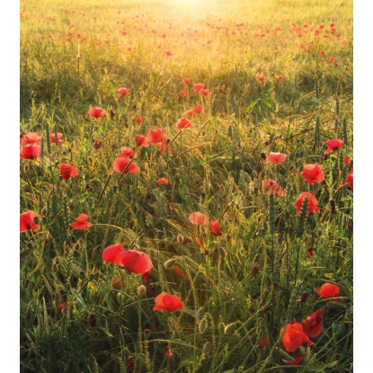 Vlies fotótapéta Poppy World 250 cm x 280 cm Vlies fotótapéta Poppy World 250 cm x 280 cm