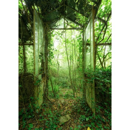 Komar vlies fotótapéta Greenhouse 200 cm x 250 cm Komar vlies fotótapéta Greenhouse 200 cm x 250 cm