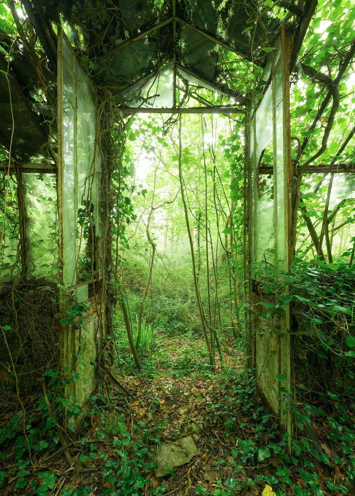 Komar vlies fotótapéta Greenhouse 200 cm x 250 cm Komar vlies fotótapéta Greenhouse 200 cm x 250 cm