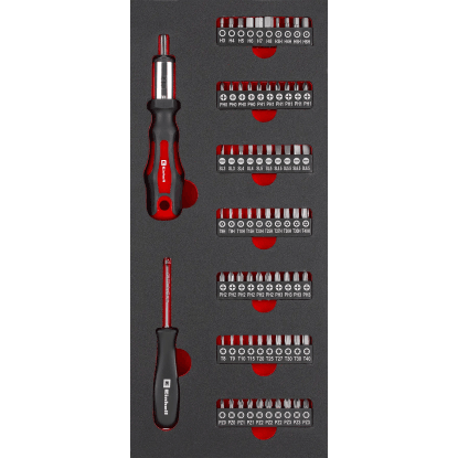 Einhell 149 részes műhelykocsi: Közelkép a szerszámválasztékról csavarhúzókkal és bitekkel. Einhell 149 részes műhelykocsi: Közelkép a szerszámválasztékról csavarhúzókkal és bitekkel.