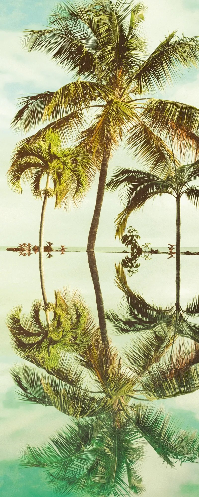 Komar vlies fotótapéta Key West Panel 100 cm x 250 cm Komar vlies fotótapéta Key West Panel 100 cm x 250 cm