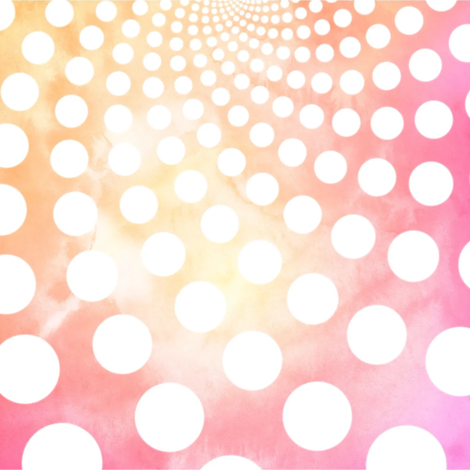 Komar fátyoltapéta Fibonacci Sunset 250 cm x 250 cm pasztellrózsaszín Komar fátyoltapéta Fibonacci Sunset 250 cm x 250 cm pasztellrózsaszín