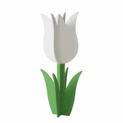 Boltze dekoráció Tulip 8,2 cm x 36 cm x 36 cm zöld-fehér Boltze dekoráció Tulip 8,2 cm x 36 cm x 36 cm zöld-fehér