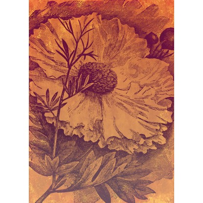 Komar vlies fotótapéta Harvest 200 cm x 280 cm Komar vlies fotótapéta Harvest 200 cm x 280 cm