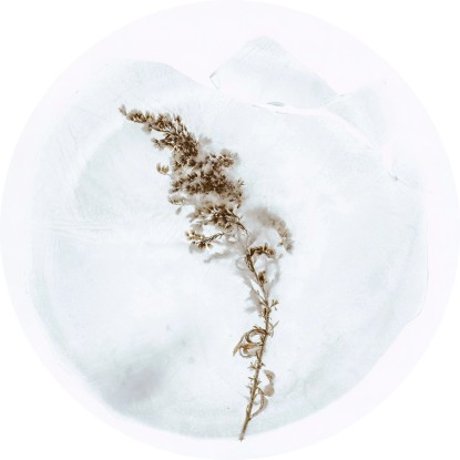 Komar Dot Sanftmut vlies fotótapéta Komar Dot Sanftmut vlies fotótapéta