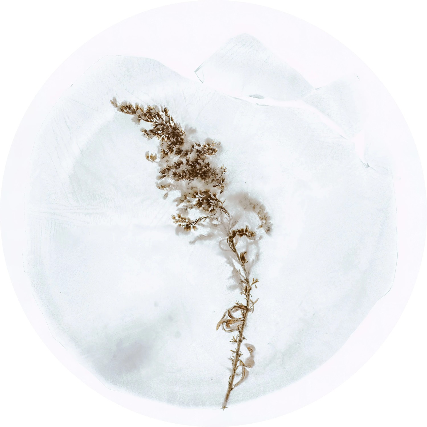 Komar Dot Sanftmut vlies fotótapéta Komar Dot Sanftmut vlies fotótapéta