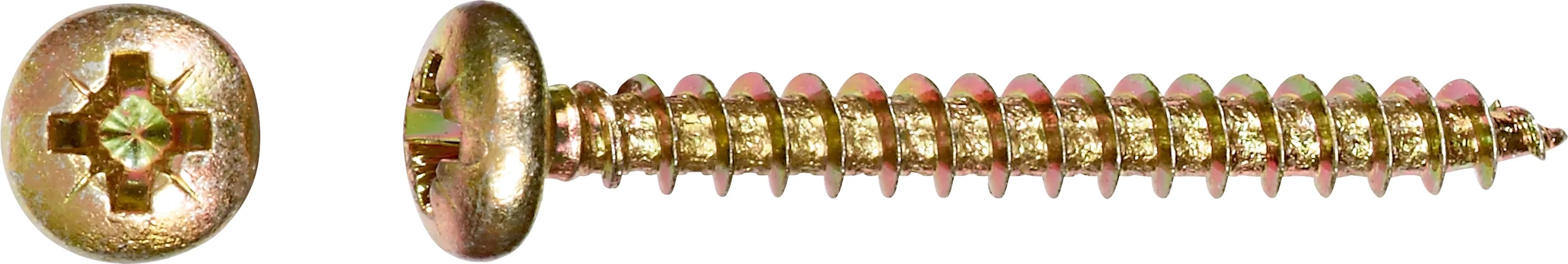 Félgömbfejű univerzális csavar PZ-behajtás 4 mm x 40 mm 10 darab Félgömbfejű univerzális csavar PZ-behajtás 4 mm x 40 mm 10 darab