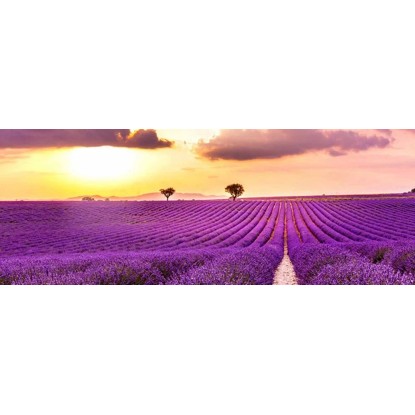 Vászonkép 30 cm x 80 cm természet Vászonkép 30 cm x 80 cm természet