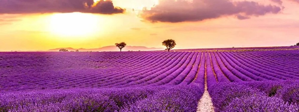 Vászonkép 30 cm x 80 cm természet Vászonkép 30 cm x 80 cm természet