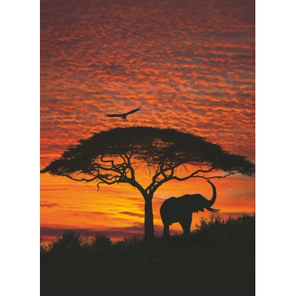 Komar fotótapéta African Sunset 194 cm x 270 cm FSC Komar fotótapéta African Sunset 194 cm x 270 cm FSC