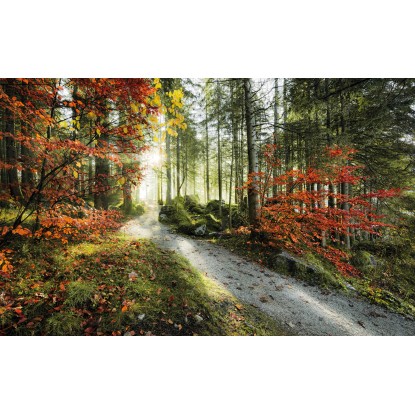 Vlies fotótapéta Feuerzungen 450 cm x 280 cm Vlies fotótapéta Feuerzungen 450 cm x 280 cm