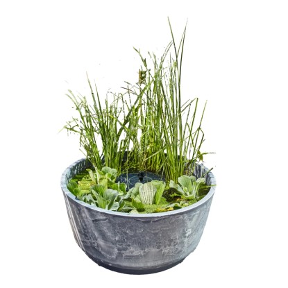 Heissner napelemes vízikert Aquatopia Heissner napelemes vízikert Aquatopia