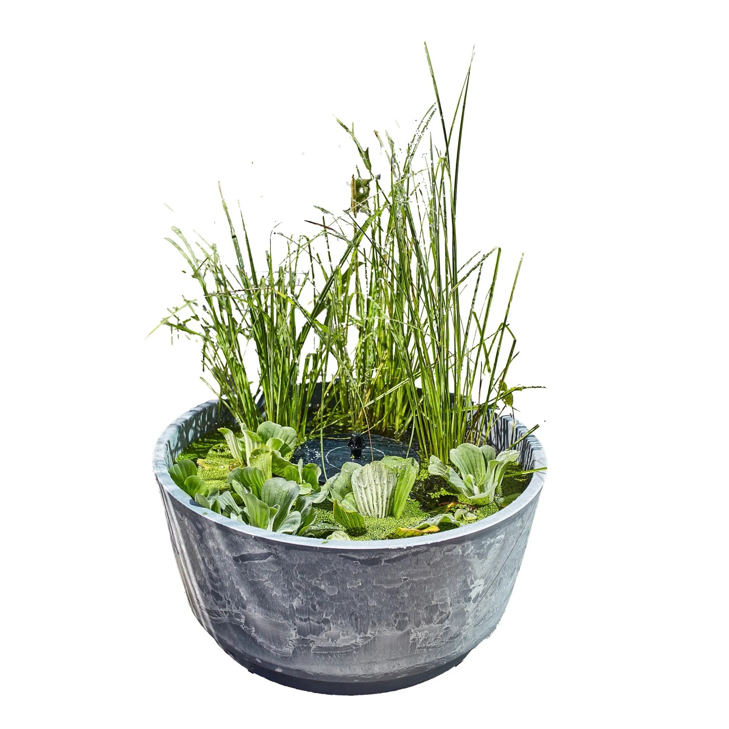 Heissner napelemes vízikert Aquatopia Heissner napelemes vízikert Aquatopia