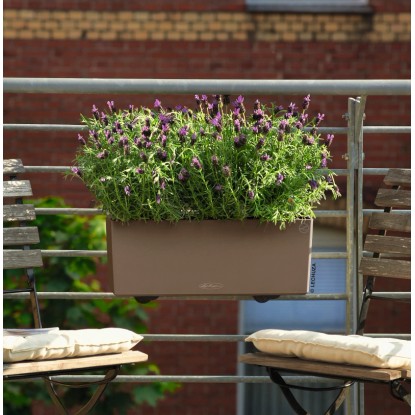 Lechuza Balconera Color 50 Muskat virágláda levendulával egy erkélyen. Lechuza Balconera Color 50 Muskat virágláda levendulával egy erkélyen.