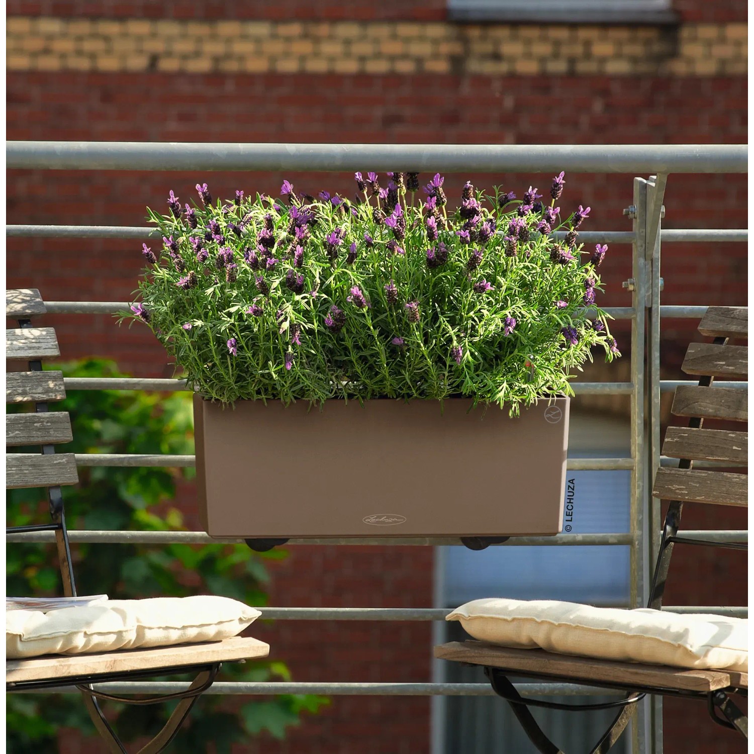 Lechuza Balconera Color 50 Muskat virágláda levendulával egy erkélyen. Lechuza Balconera Color 50 Muskat virágláda levendulával egy erkélyen.