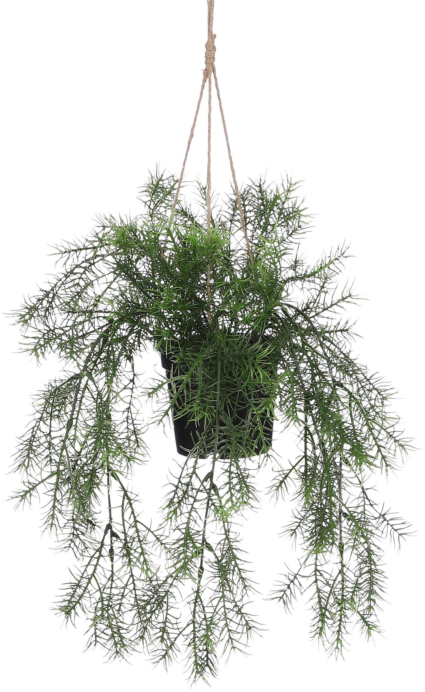 Mica Decorations függő aszparágusz műnövény 40 cm x 20 cm zöld Mica Decorations függő aszparágusz műnövény 40 cm x 20 cm zöld