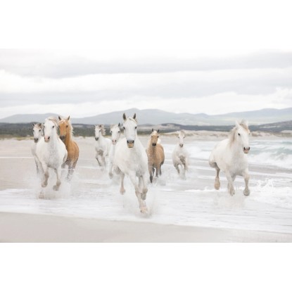 Komar fotótapéta White Horses 368 cm x 254 cm FSC® Komar fotótapéta White Horses 368 cm x 254 cm FSC®