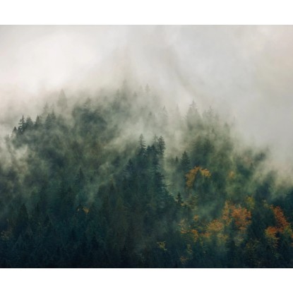 Komar vlies fotótapéta Tales of the Carpathians 300 cm x 250 cm Komar vlies fotótapéta Tales of the Carpathians 300 cm x 250 cm