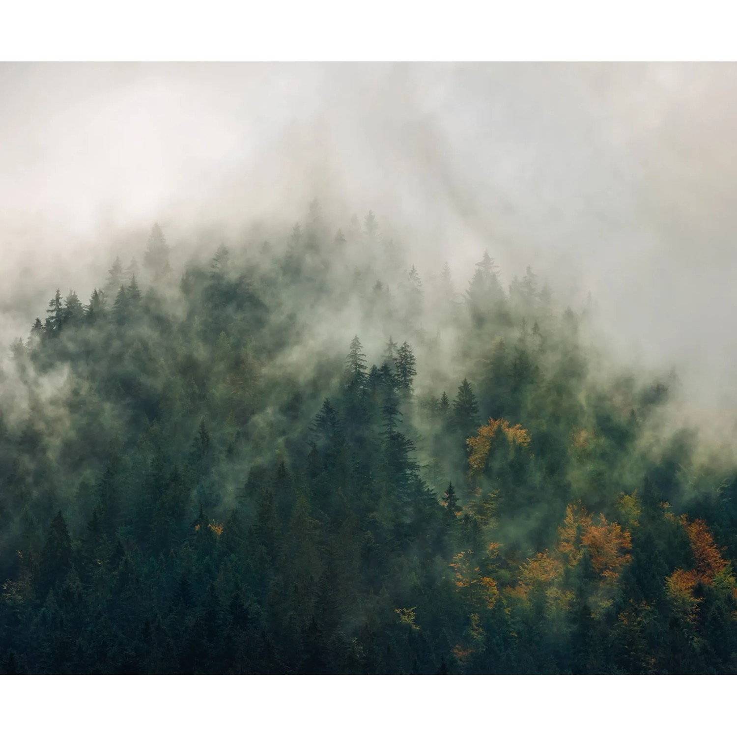 Komar vlies fotótapéta Tales of the Carpathians 300 cm x 250 cm Komar vlies fotótapéta Tales of the Carpathians 300 cm x 250 cm