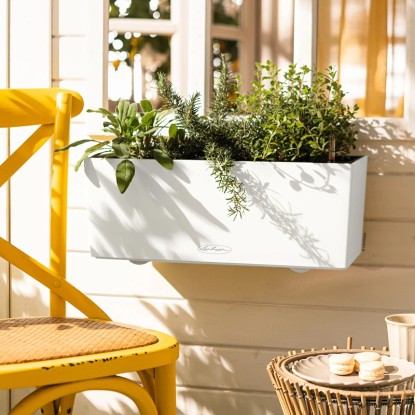 Fehér Lechuza Balconera Color 50 virágláda fűszernövényekkel egy erkélyen. Fehér Lechuza Balconera Color 50 virágláda fűszernövényekkel egy erkélyen.