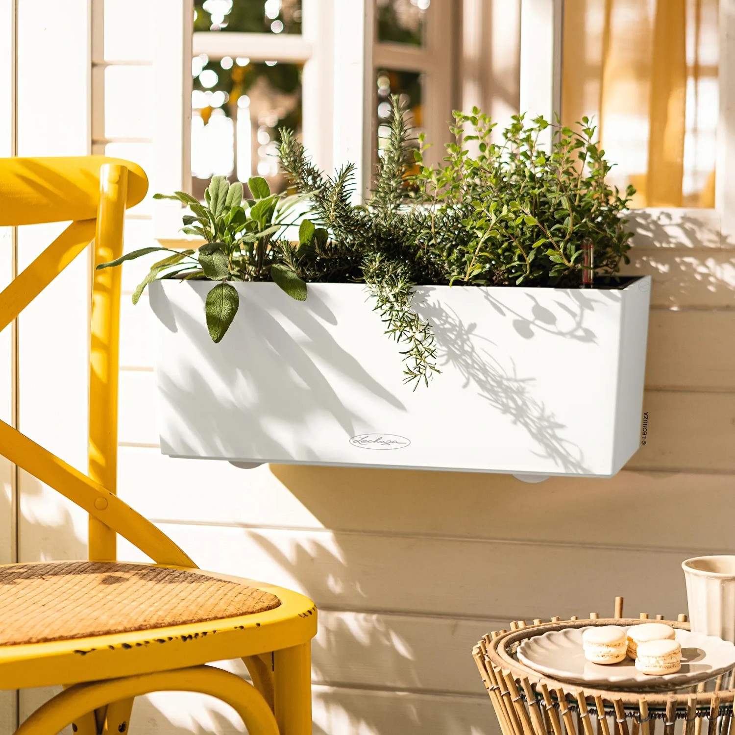 Fehér Lechuza Balconera Color 50 virágláda fűszernövényekkel egy erkélyen. Fehér Lechuza Balconera Color 50 virágláda fűszernövényekkel egy erkélyen.