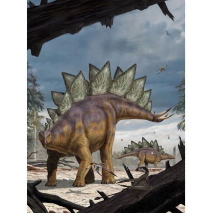 Komar vlies fotótapéta Stegosaurus 184 cm x 248 cm Komar vlies fotótapéta Stegosaurus 184 cm x 248 cm