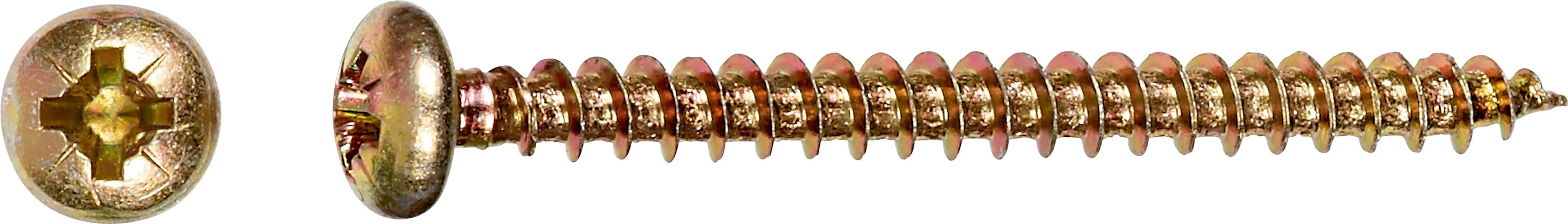 Félgömbfejű univerzális csavar PZ-behajtás 5 mm x 30 mm 15 darab Félgömbfejű univerzális csavar PZ-behajtás 5 mm x 30 mm 15 darab