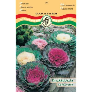 Díszkáposzta (t.b.t.) vetőmag csomag színes növényekkel.