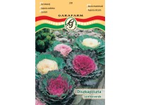 Díszkáposzta színkev. vetőmag