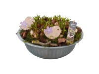 Gyöngyike válogatás cinkcserépben cserépátmérő kb. 29 cm