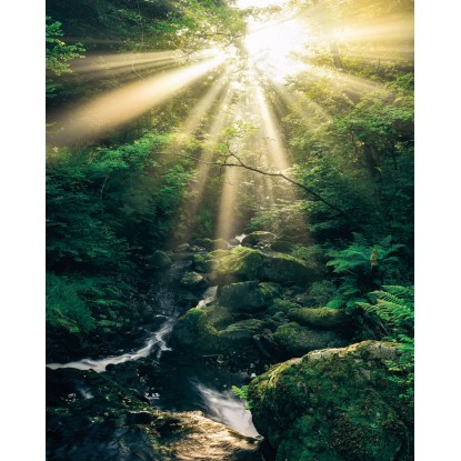 Komar vlies fotótapéta Divine 200 cm x 250 cm