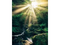 Komar vlies fotótapéta Divine 200 cm x 250 cm