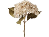 Boltze hortenzia száras virág 52 cm x 25 cm x 9 cm natúr