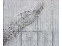 Komar nemszőtt fotótapéta Betonfeder 300 cm x 250 cm