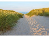 Komar fotótapéta Sandy Path 368 cm x 254 cm FSC®