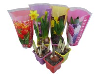 Hagymás mix színes zacskóban