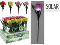 Szolár tulipán modell 4 féle Szolár tulipán modell 4 féle