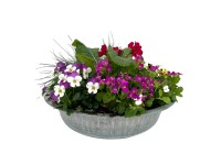 Korai virágválogatás cinkcserépben cserépátmérő kb. 29 cm