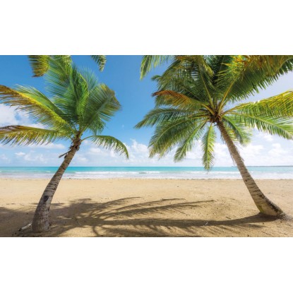 Vlies fotótapéta Caribbean Days II 450 cm x 280 cm