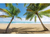 Vlies fotótapéta Caribbean Days II 450 cm x 280 cm Vlies fotótapéta Caribbean Days II 450 cm x 280 cm