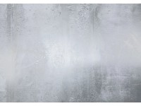 Komar nemszőtt fotótapéta Arte 400 cm x 280 cm