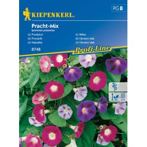Kiepenkerl Pracht-Mix mag csomag színes hajnalkákkal.