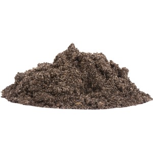 Közelkép a Compo Sana tavi földről, egy sötét, nedves talaj vízi növényekhez.