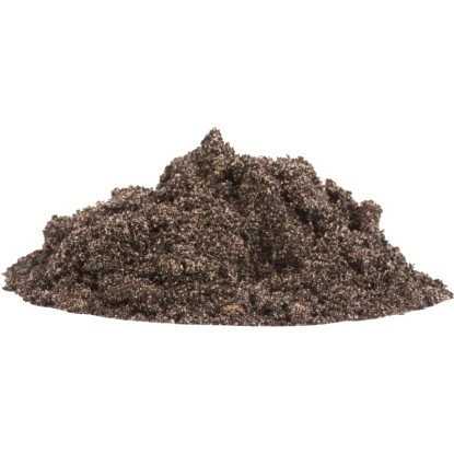 Közelkép a Compo Sana tavi földről, egy sötét, nedves talaj vízi növényekhez.