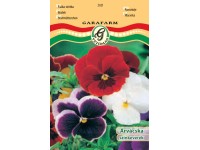 Árvácska színkev. vetőmag